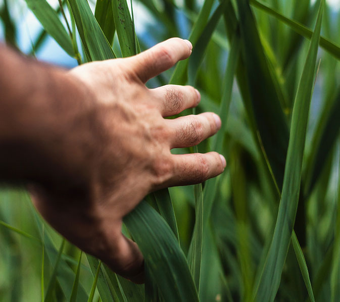 sustainability for environment